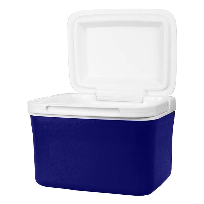 Dunkin Cooler Box 4.5L